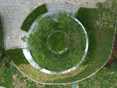 玻璃钢树池厂家直销：打造绿环玻璃钢树池，助力城市绿化