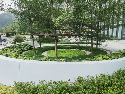 树池与绿环玻璃钢的完美结合：绿色城市的环保之选